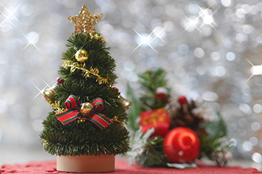 宿泊プラン（クリスマス）